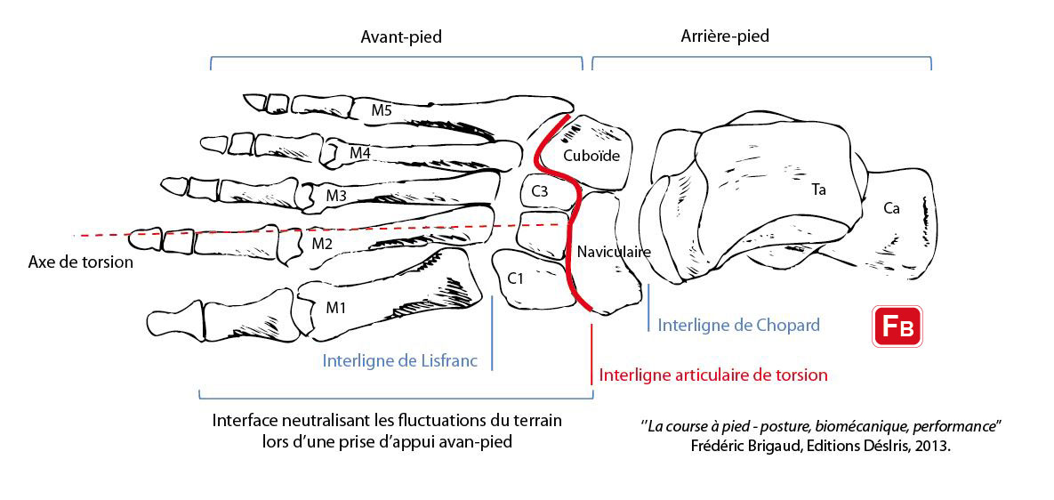 La Chaussure Doit elle Tenir Au Pied Ou Tenir Le Pied La Chaussure Doit elle Tenir Au Pied Ou Tenir Le Pied