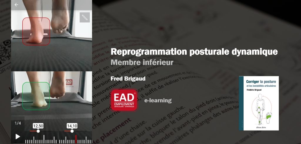 e-learning - Reprogrammation posturale dynamique